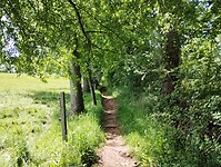 IMG_20260421_151548057