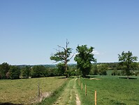IMG_20260421_135224160