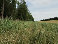 1000062362