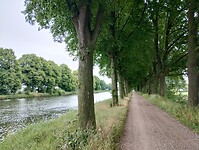 1000062607