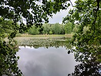 1000062702