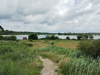 1000062718