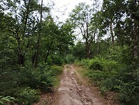 1000064416