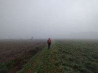 1000067933