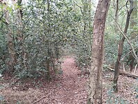 1000067958