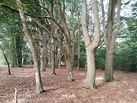 1000067970