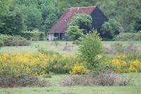 Plantage Willem 3