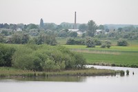 Amerongse Bovenpolder