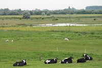 Vanaf de Lekdijk