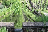 Beek langs kasteel Cannenburch