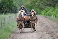 Karretje op zandweg