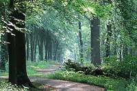 Laarzenberg