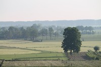 Uitzicht vanaf de Laarzenberg