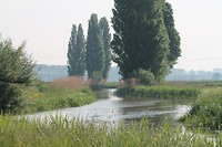 De Grift