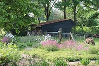 Achterberg 1