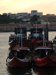Boten in de Duoro