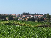 Agrarisch landschap