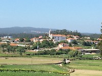 Arcos