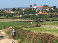 Arcos in de verte