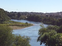 Barcelos