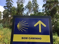 Bom camino