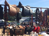 Paardenspullen op de markt van Cerdes