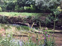 Rio Louro