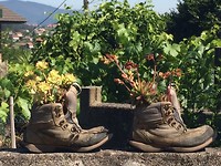 Creatief gebruik wandelschoenen