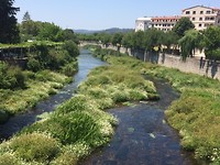 Rio Bermena
