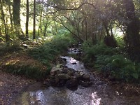 Watergangetjes