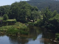 Bermena