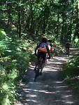 Behalve veel wandelaars,  nu ook  veel  fietsers op weg naar Santiago