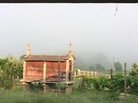 Mist