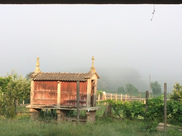 Mist