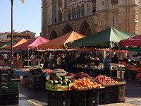 Markt voor de kathedraal