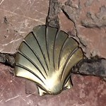 De Camino naar Santiago