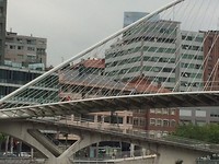 De witte brug