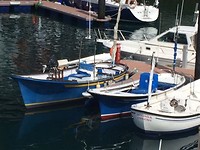 Vissersbootjes