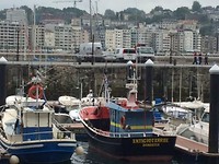 Boten in de haven