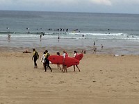 Overal surfklasjes