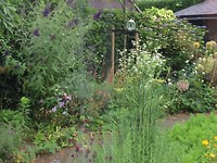 Tuin is behoorlijk verwilderd