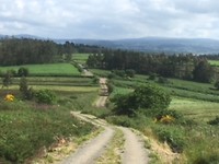 Omhoog en omlaag