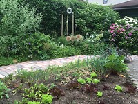 De tuin bij thuiskomst