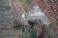 IMG_8470