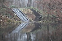 IMG_8474