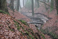 IMG_8475