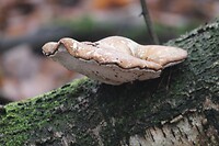 IMG_8479
