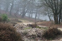 IMG_8483