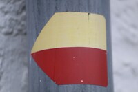 IMG_8504