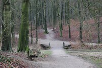 IMG_8488
